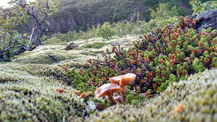 IMG_20150831_193508127_HDR